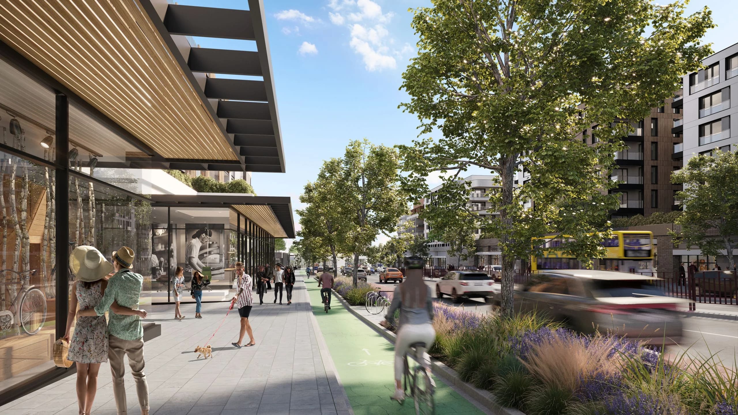 Brookvale Precinct Planning Proposal 街景效果图