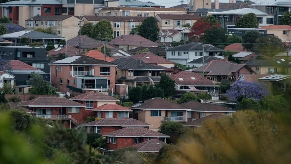 悉尼山坡住宅区景观