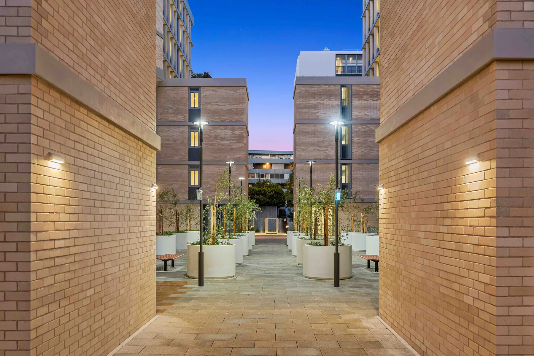 The Rothschild landscaped communal courtyard